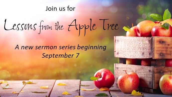 Sermon Series - Lessons From the Tree